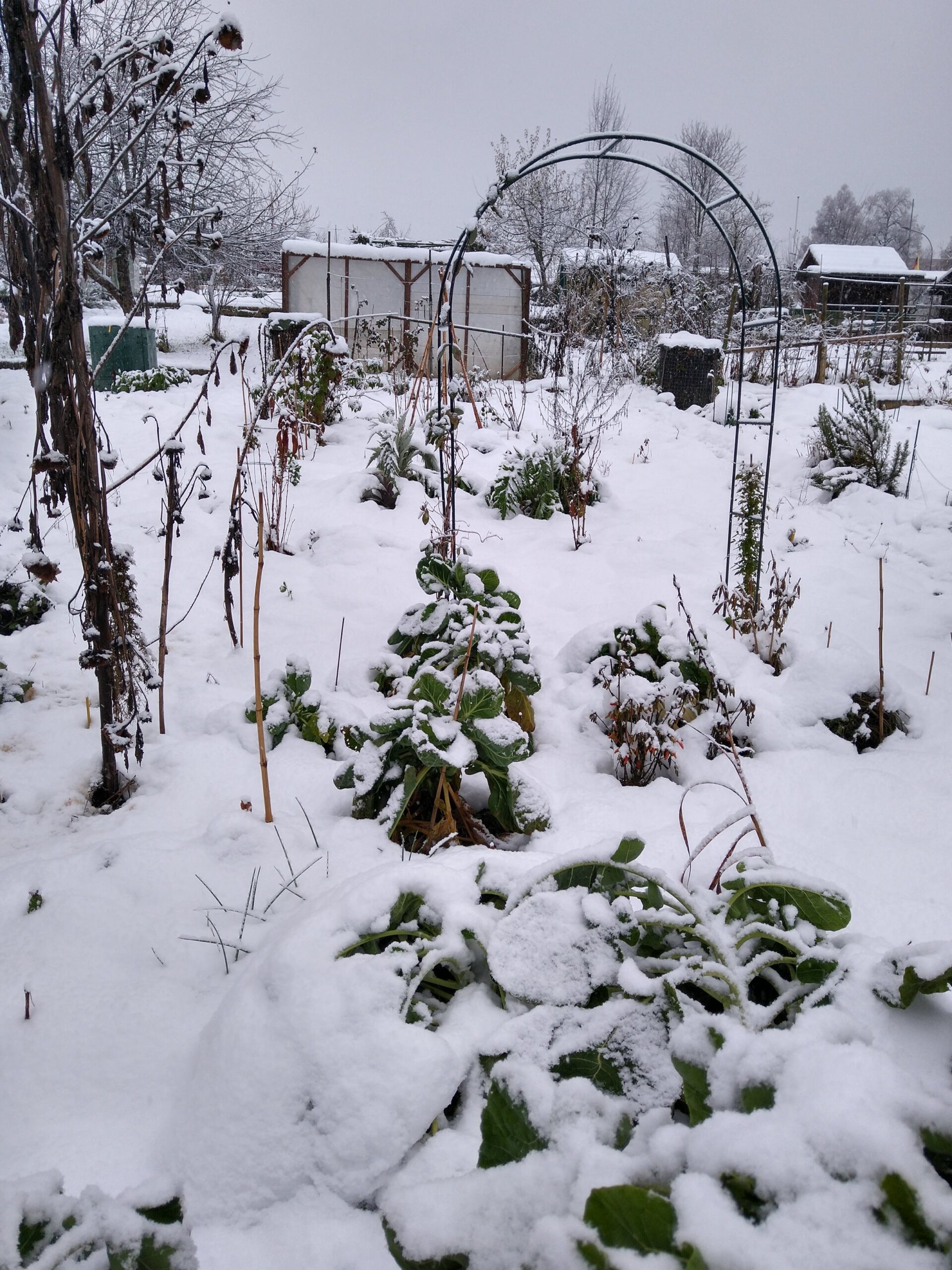Garten im Schnee