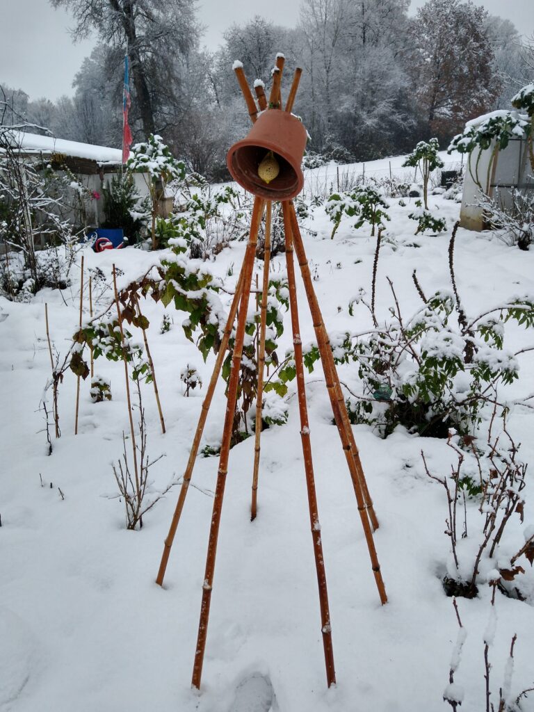 Rankhilfe für Winterkefe "Frieda Welten, im Schnee mit Vogelfutter
